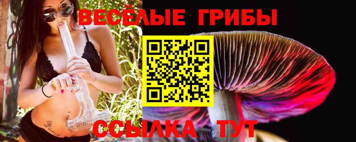 Удомля  Галлюциногенные грибы GOLDEN TEACHER  Вход с VPN 
