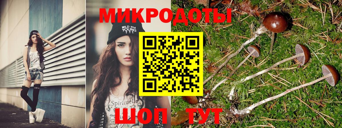 Псилоцибиновые грибы мухоморы Удомля